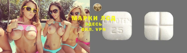 соль ск Алексин