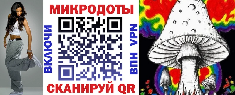 что такое   Долинск  Галлюциногенные грибы Psilocybe 